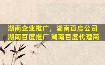 湖南企业推广，湖南百度* 湖南百度推广 湖南百度代理商